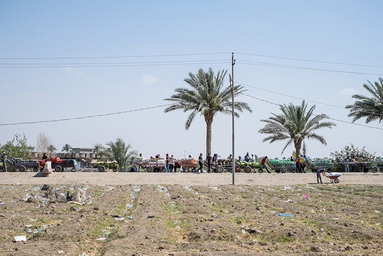 A long line of cargo carts wait to cross Bzebez bridge, Iraq.